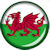 Wales button image
